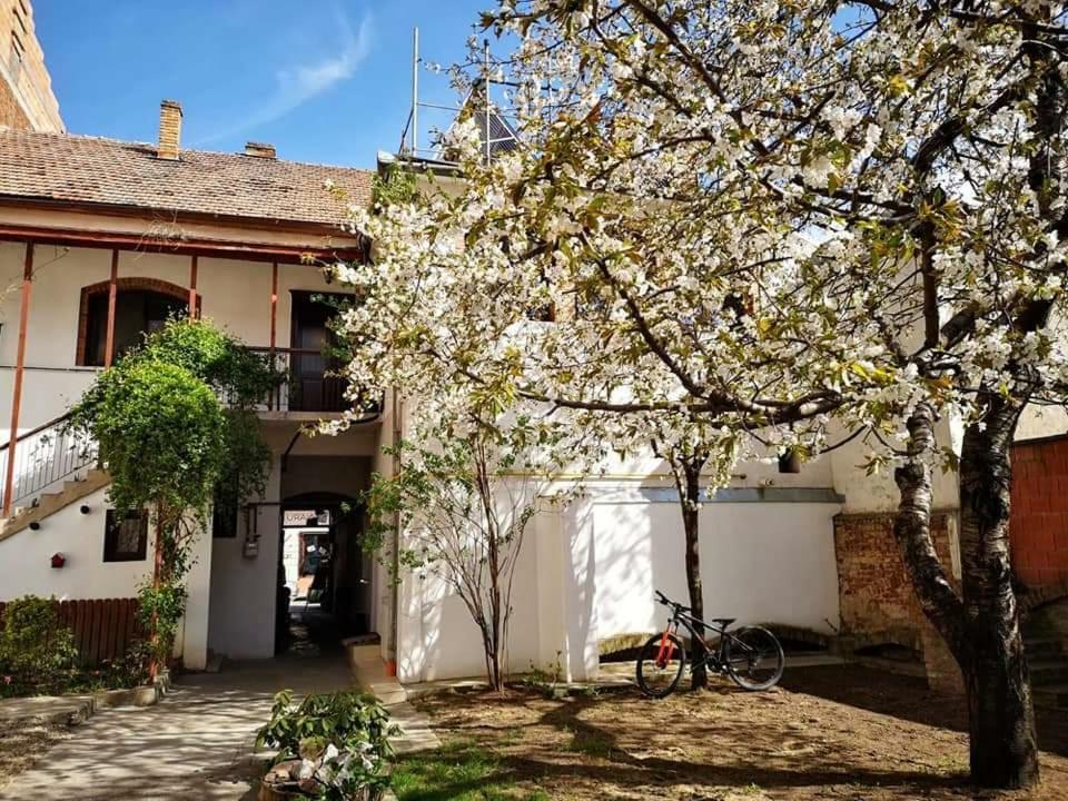 Casa Miron 1 Appartement Timişoara Buitenkant foto